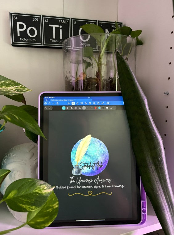 The Universe Answers - 10 Week Synchronicity Journal